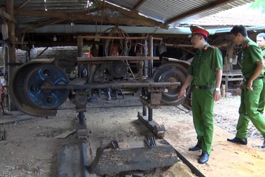 Sau loạt bài điều tra của Dân trí, khởi tố 12 bị can "tàn sát" rừng già