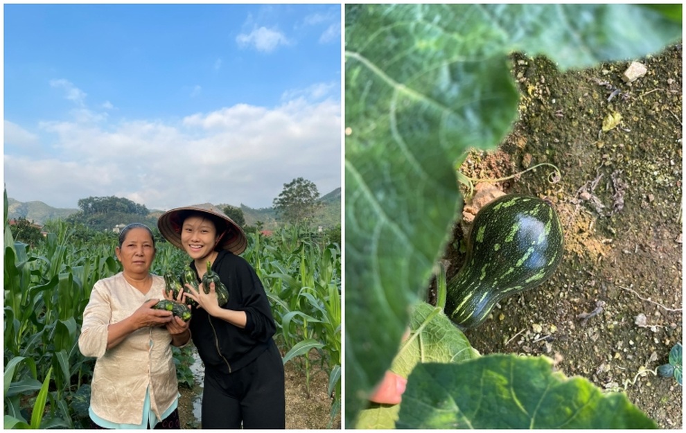 Vườn rau trái tươi tốt của một gia đình lão nông ở Yên Bái - 9 Vườn rau trái tươi tốt của một gia đình lão nông ở Yên Bái - 9