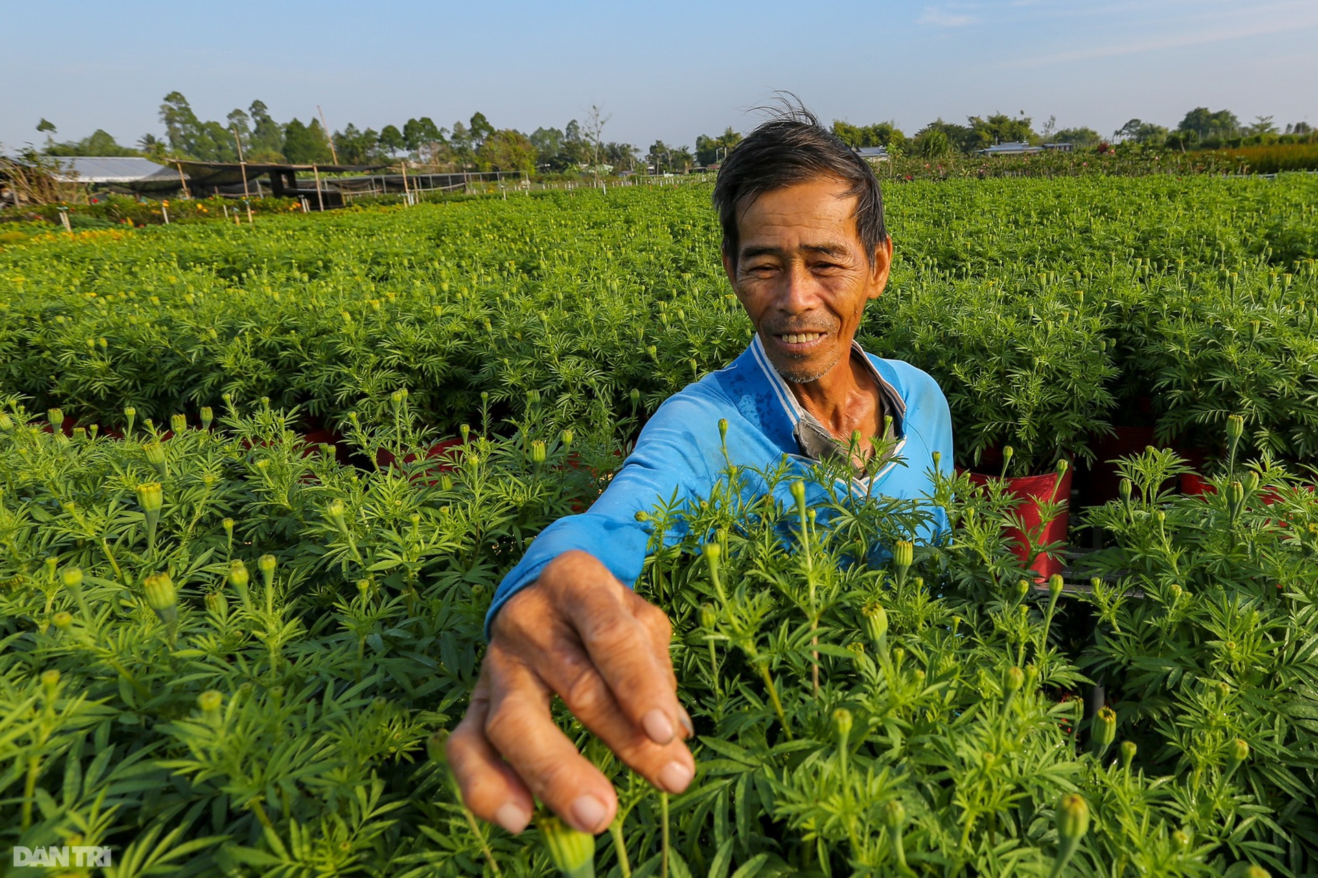 Làng hoa lớn nhất miền Tây vào vụ Tết - 5