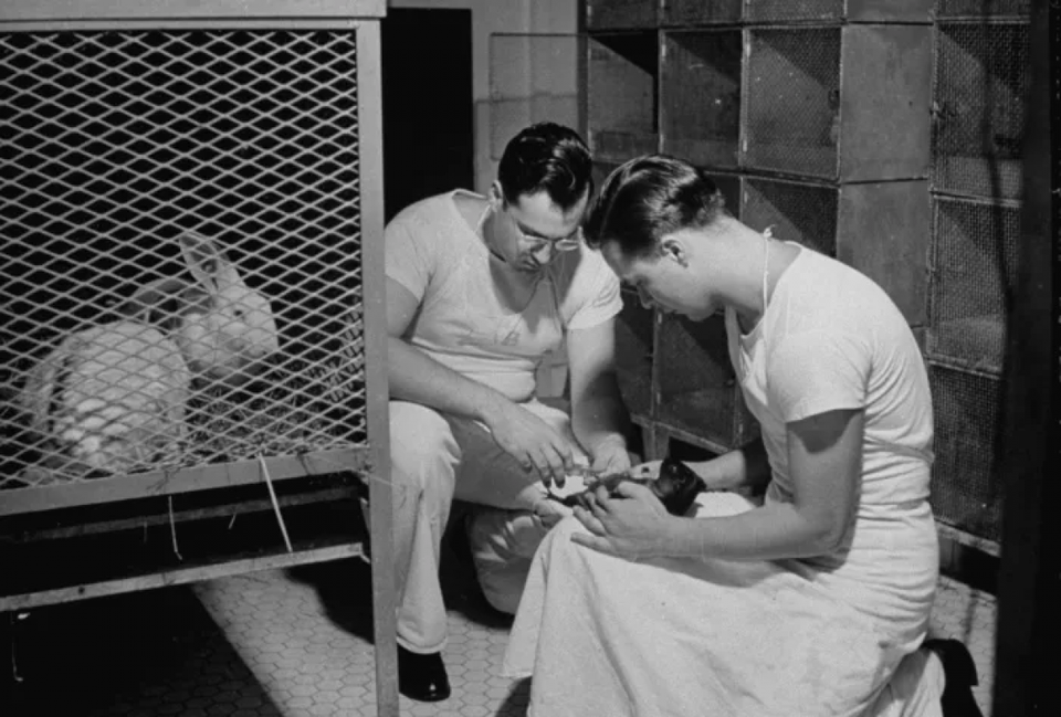 6 phát minh vĩ đại nào trong Thế chiến 2 thay đổi cuộc sống nhân loại? - 1 6 phát minh vĩ đại nào trong Thế chiến 2 thay đổi cuộc sống nhân loại? - 1