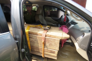 Bắt xe bán tải lắp biển giả, vận chuyển gỗ lậu