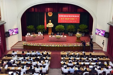 Thất bại của “dự án bò lớn nhất miền Trung” làm nóng nghị trường