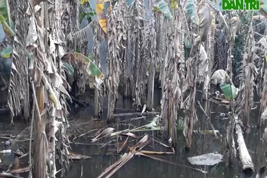 Người dân phản ánh thi công đường gây ngập úng