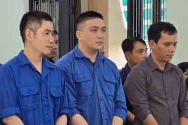 Cựu cán bộ kiểm lâm lĩnh án tù vì vận chuyển gỗ lậu