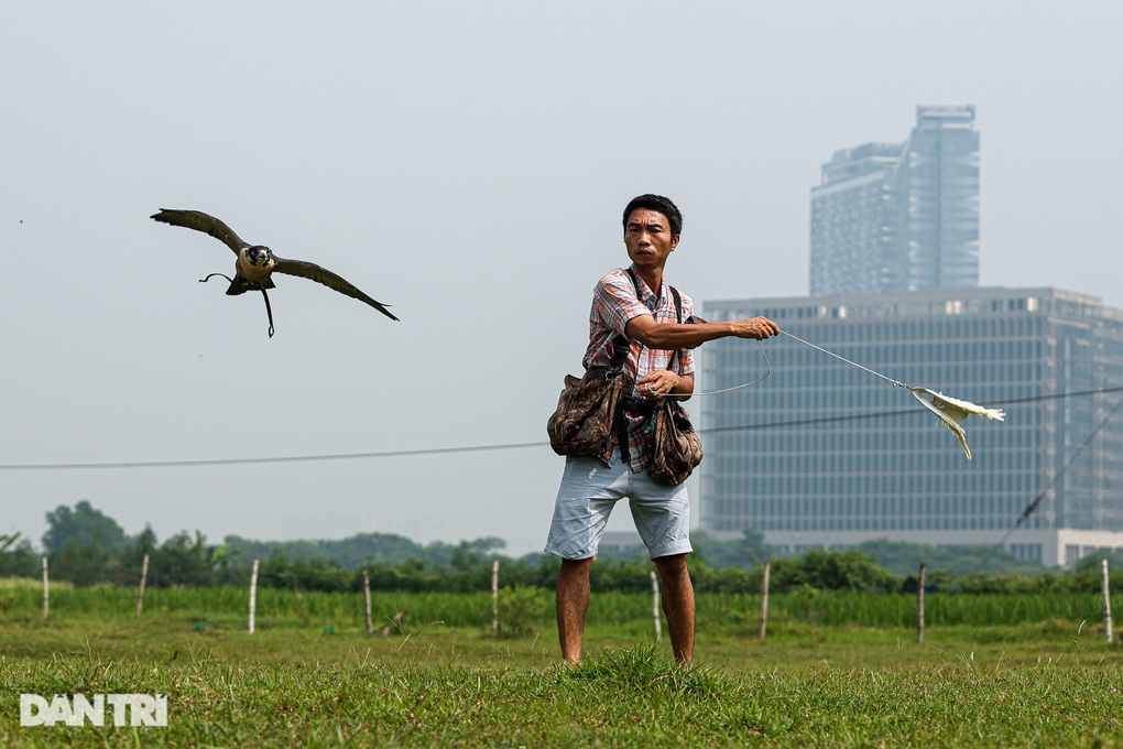 Dân chơi ở Hà Nội chi chục triệu đồng nuôi loài chim trinh sát trên không - 7 Dân chơi ở Hà Nội chi chục triệu đồng nuôi loài chim trinh sát trên không - 7