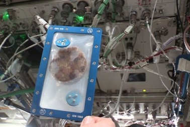 Những chiếc bánh quy đầu tiên được nướng trong không gian