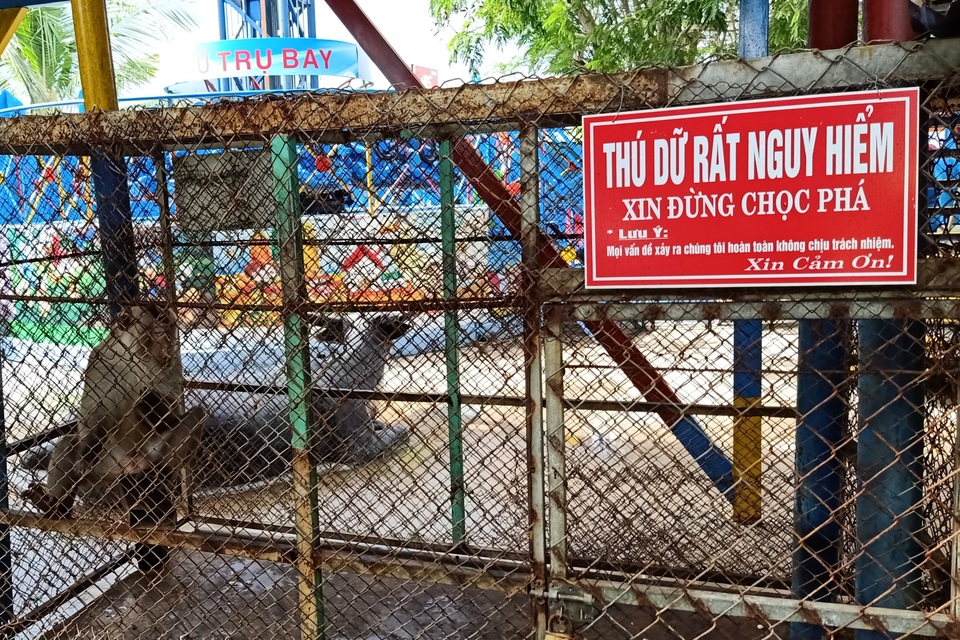 Khu du lịch nổi tiếng Bạc Liêu nuôi nhốt động vật rừng chưa rõ nguồn gốc - 3 Khu du lịch nổi tiếng Bạc Liêu nuôi nhốt động vật rừng chưa rõ nguồn gốc - 3