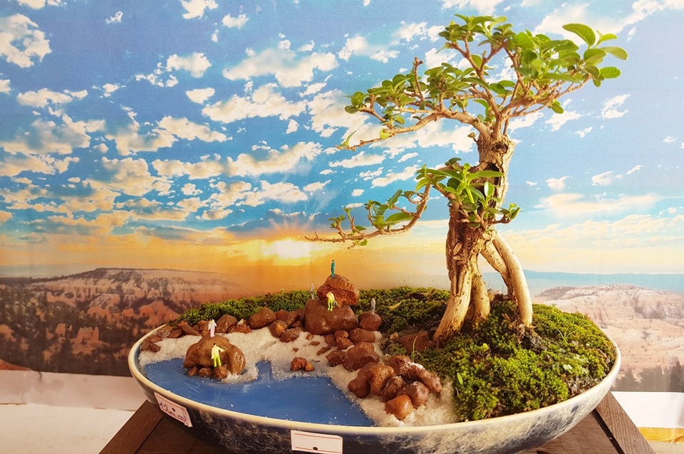 Người đàn ông Nha Trang sở hữu hàng nghìn bonsai, tiểu cảnh mini - 2 Người đàn ông Nha Trang sở hữu hàng nghìn bonsai, tiểu cảnh mini - 2