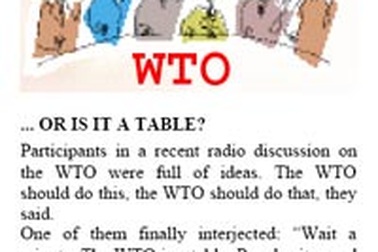 Chiếc Lexus và cây lúa