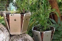 Chứng tỏ độ ăn chơi, con nhà giàu dùng cả tá iPhone làm chậu trồng cây cảnh