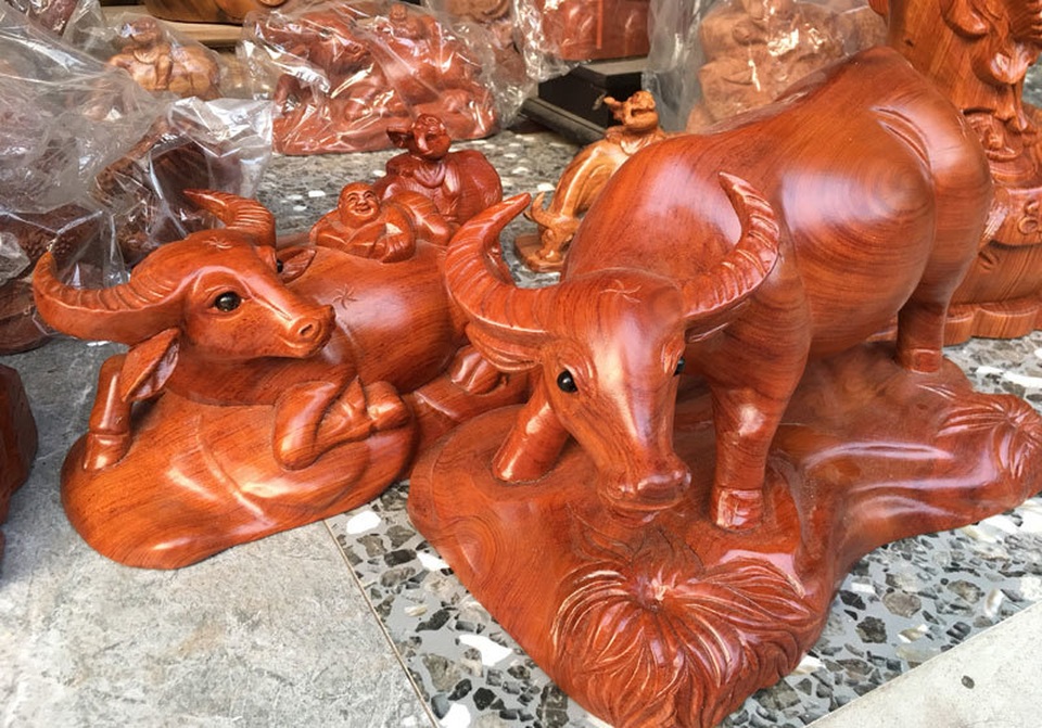 Bán đàn trâu 500 con, thu ngay 300 triệu đồng ăn Tết - 1 Bán đàn trâu 500 con, thu ngay 300 triệu đồng ăn Tết - 1