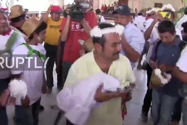 Thị trưởng cưới cá sấu