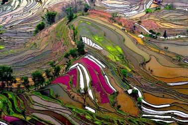 Mê mẩn ngắm những thửa ruộng bậc thang đẹp như tranh vẽ