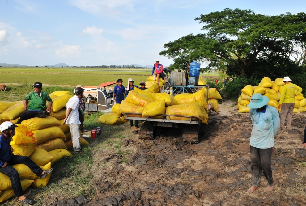 An Giang khôi phục kinh tế, không làm đứt gãy chuỗi sản xuất - 2 An Giang khôi phục kinh tế, không làm đứt gãy chuỗi sản xuất - 2
