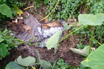 Phát hiện bộ xương người trên bãi đất trống ở TPHCM