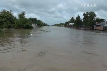 Hoàn lưu bão số 3 và triều cường gây thiệt hại ở Hậu Giang
