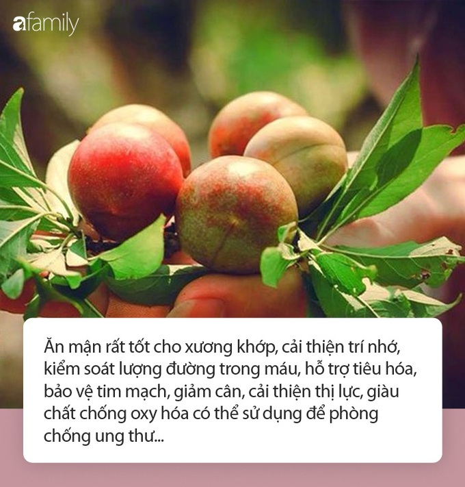 Ăn mận vào giai đoạn rộ mùa, chị em không chỉ tận dụng để làm thuốc chữa bệnh mà làn da được thể cứ căng hồng, sạm nám chẳng có cơ hội ghé thăm! - Ảnh 1. Ăn mận vào giai đoạn rộ mùa, chị em không chỉ tận dụng để làm thuốc chữa bệnh mà làn da được thể cứ căng hồng, sạm nám chẳng có cơ hội ghé thăm! - Ảnh 1.
