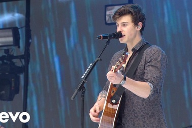 Shawn Mendes - Stitches