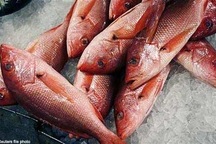 Muốn giảm nguy cơ polyp đại tràng, hãy ăn cá