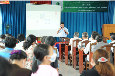 Cùng người dân tỉnh Bến Tre phòng trừ sâu đầu đen hại dừa bằng biện pháp sinh học