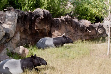 Hội thảo bảo tồn loài nguy cấp trong sách đỏ thế giới