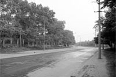 Những chiêu "cày vốn" trong nước