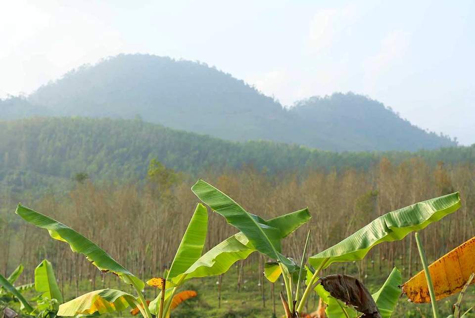 Phượt trên cung đường Đông Trường Sơn mùa con ong đi lấy mật - 7 Phượt trên cung đường Đông Trường Sơn mùa con ong đi lấy mật - 7