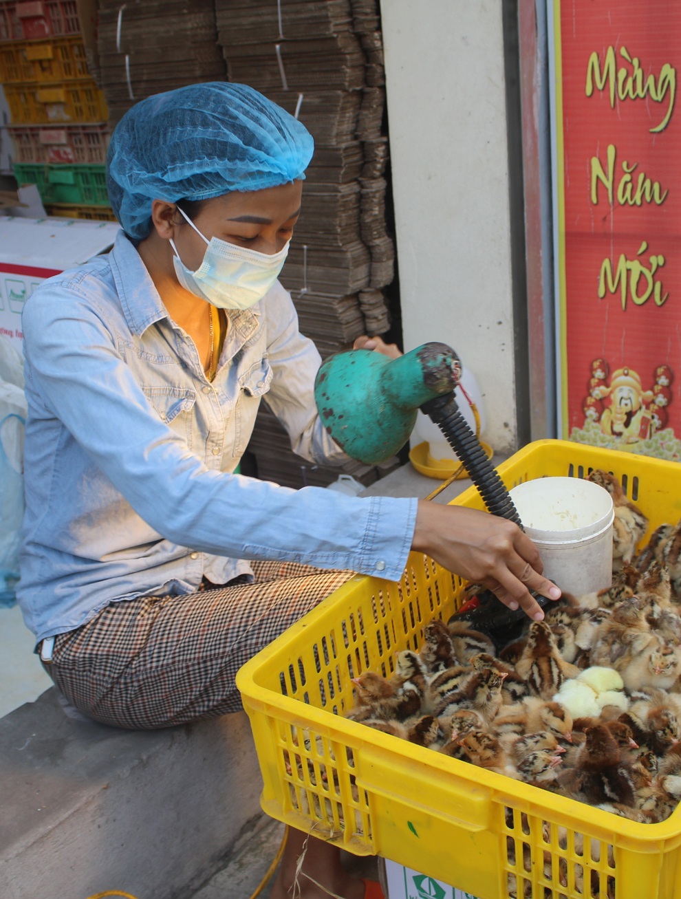Nghề lạ lương cao: Soi giới tính gà - 2 Nghề lạ lương cao: Soi giới tính gà - 2