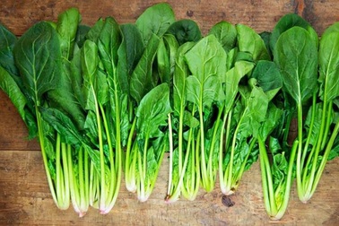 10 thực phẩm ngăn ngừa ung thư phổi hiệu quả