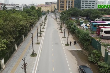 Hàng loạt cây xanh chết khô trên khu đất vàng của Hà Nội