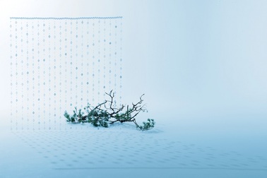 Nút thắt biết ơn và hy vọng cho năm mới ở Nhật Bản