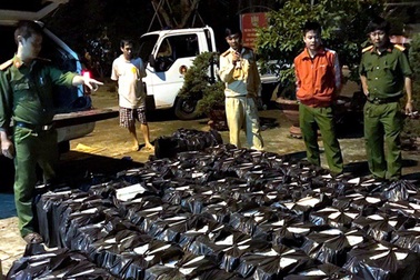 Dùng ô tô gắn biển giả vận chuyển 19.000 gói thuốc lá lậu