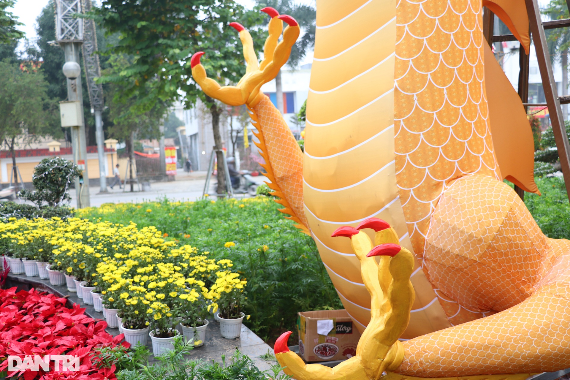 Linh vật rồng Nghệ An vừa trình làng, nhận vô số lời khen - 6 Linh vật rồng Nghệ An vừa trình làng, nhận vô số lời khen - 6