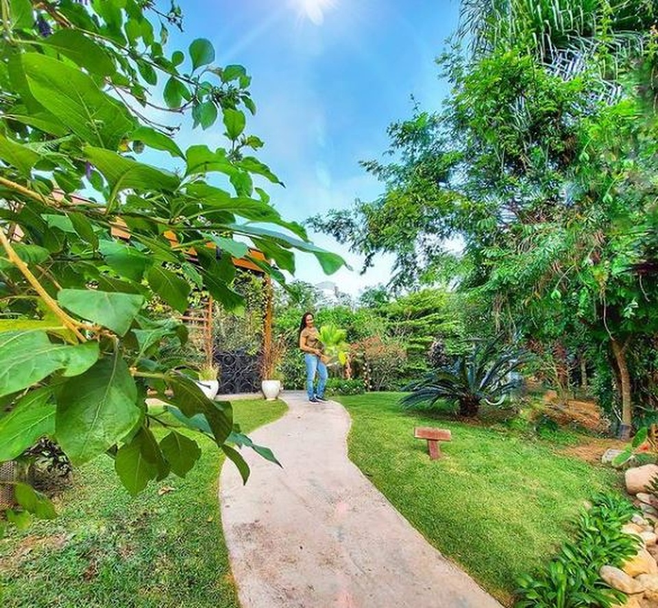 Bán ô tô, nghỉ việc, cô gái tốt nghiệp ngành báo chí sống như nông dân - 8