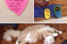 Chết cười với kiểu nhắn nhủ của những cặp đôi hóm hỉnh