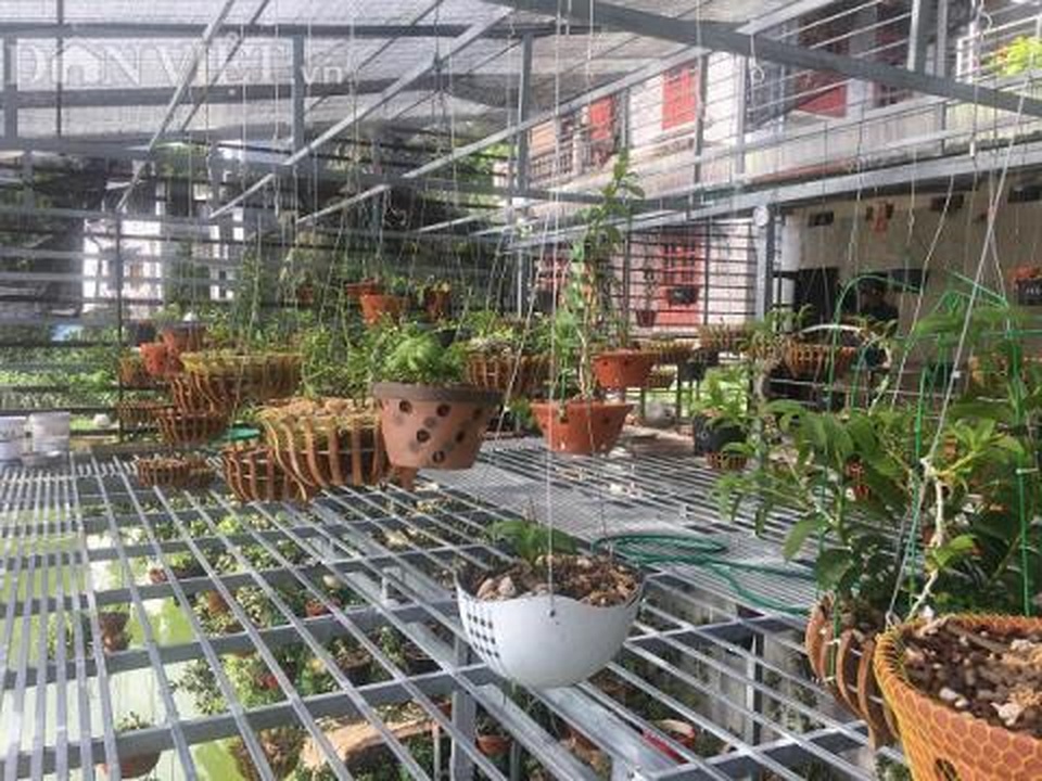 Vỡ bong bóng Phi điệp đột biến: Gạ người thân tiền tỷ - 1 Vỡ bong bóng Phi điệp đột biến: Gạ người thân tiền tỷ - 1