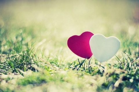 Chạm ngưỡng “thiên đường” mùa xuân