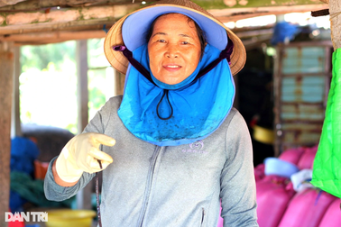 Nhọc nhằn nữ phu cá bám biển mưu sinh