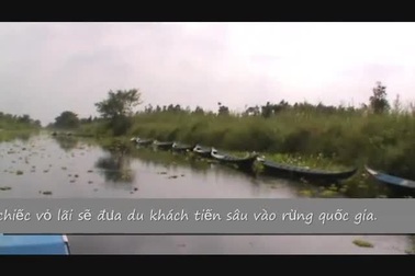 Vườn Quốc gia U Minh Thượng - Kiên Giang