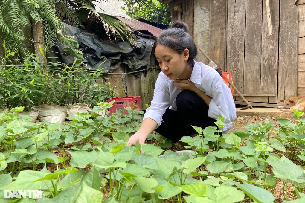 Mẹ bỏ đi, nữ sinh nghèo chăm bố bệnh tật, bà già yếu - 1 Mẹ bỏ đi, nữ sinh nghèo chăm bố bệnh tật, bà già yếu - 1