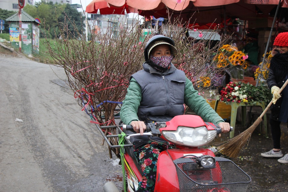 Đào Nhật Tân xuống phố sớm, người Hà Nội thích thú mua đào đón... Noel - 2 Đào Nhật Tân xuống phố sớm, người Hà Nội thích thú mua đào đón... Noel - 2