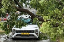 TPHCM mưa lớn, gió giật gãy trụ điện, cây ngã đè ô tô