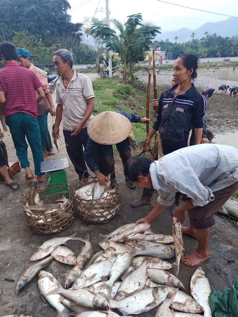 Món cá nướng, “linh hồn” không thể thiếu trong ngày Tết của người Thái - 3 Món cá nướng, “linh hồn” không thể thiếu trong ngày Tết của người Thái - 3