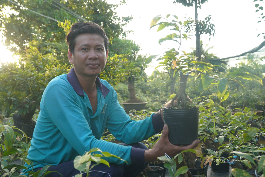 Planting familiar flowers, farmers sell 1 plant to have enough money to spend the whole year - 4