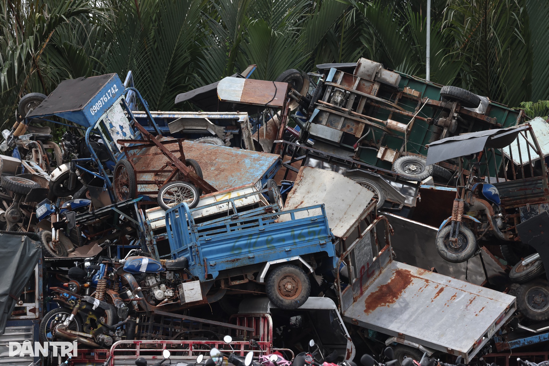 Hơn 1.600 phương tiện vi phạm ở TPHCM được đấu giá thành công - 6 Hơn 1.600 phương tiện vi phạm ở TPHCM được đấu giá thành công - 6