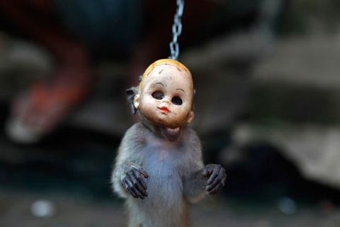 Những bức ảnh gây sửng sốt nhất năm 2011 (1)