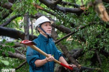 Hà Nội: 4 người tử vong, 17 người bị thương và 24.800 cây đổ do bão Yagi