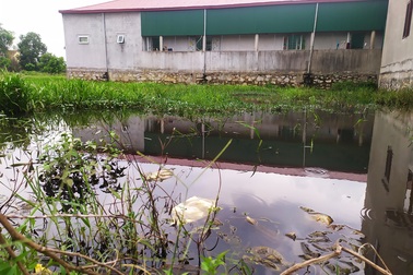 Vụ quy hoạch khu dân cư “bỏ quên” mương thoát nước: Tỉnh Hà Tĩnh yêu cầu báo cáo