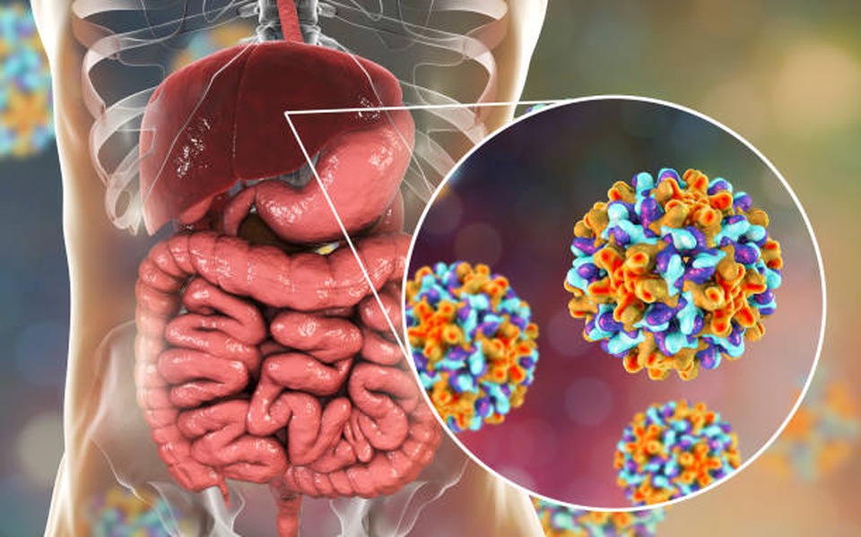 Virus viêm gan B: Kẻ thù siêu nhỏ thách thức y học thế giới - 2 Virus viêm gan B: Kẻ thù siêu nhỏ thách thức y học thế giới - 2