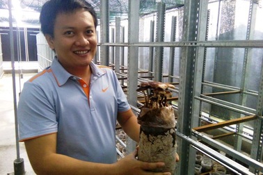 21 tỉnh, thành phố phía Nam thống nhất hình thành chuỗi thực phẩm an toàn